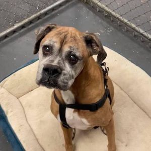 Meet your Posher, Roberto